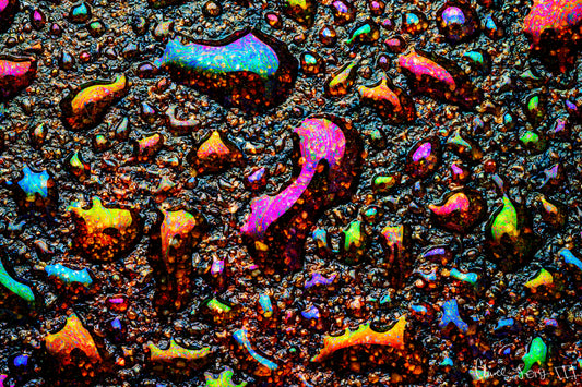 Homage to My Adolescence