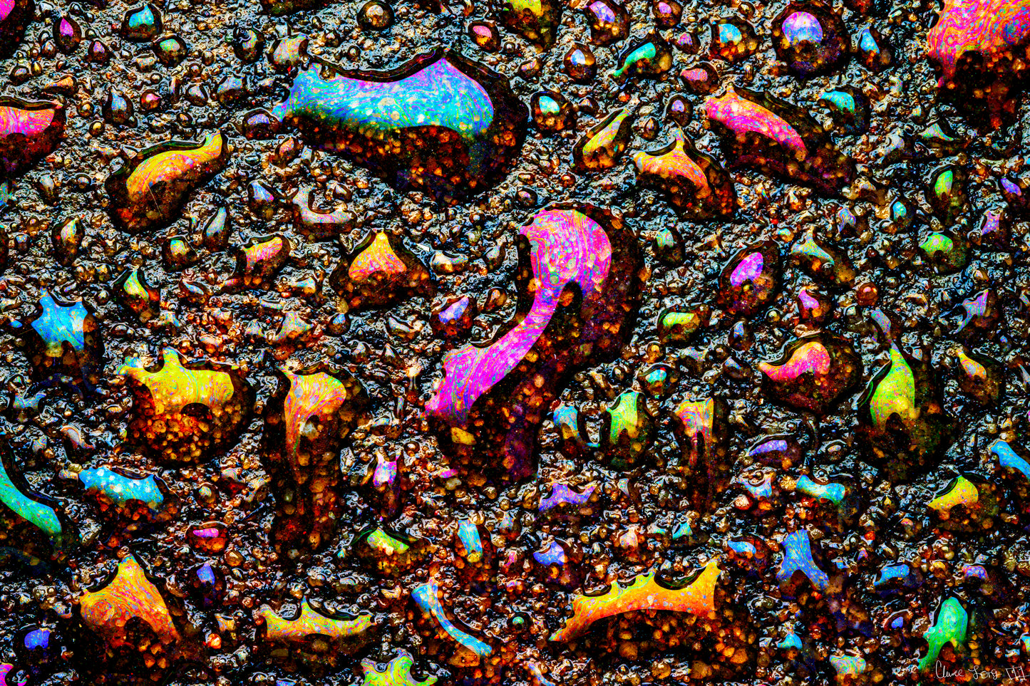 Main image Homage to My Adolescence