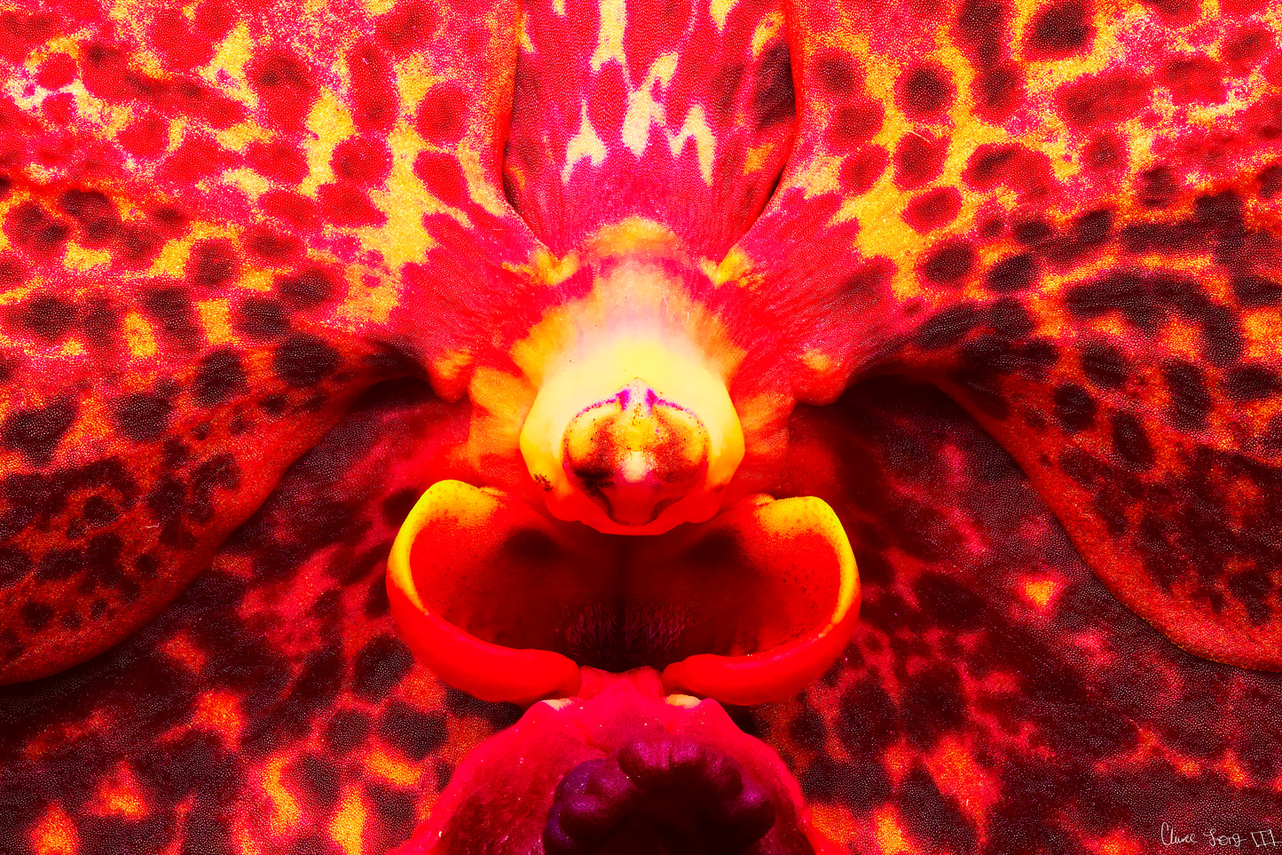 Orchid’s Last Stand in the Inferno