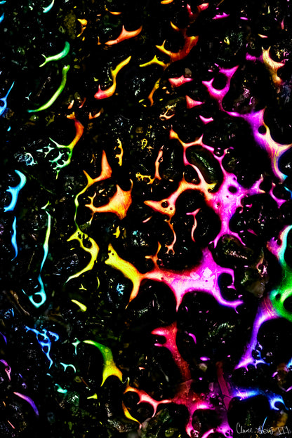 Petroleum Rainbow