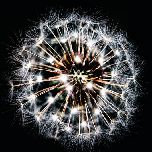 Starburst