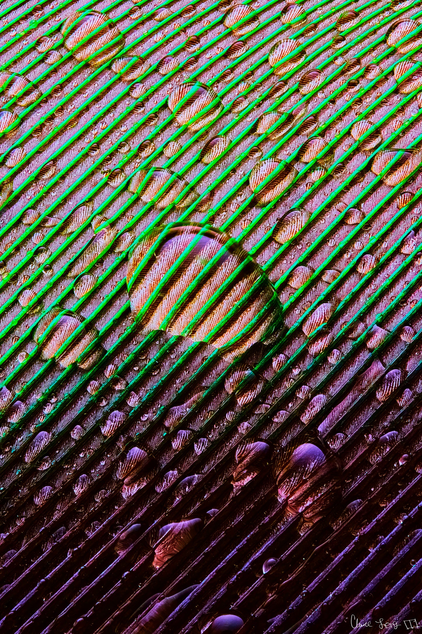 Main image Superabundance