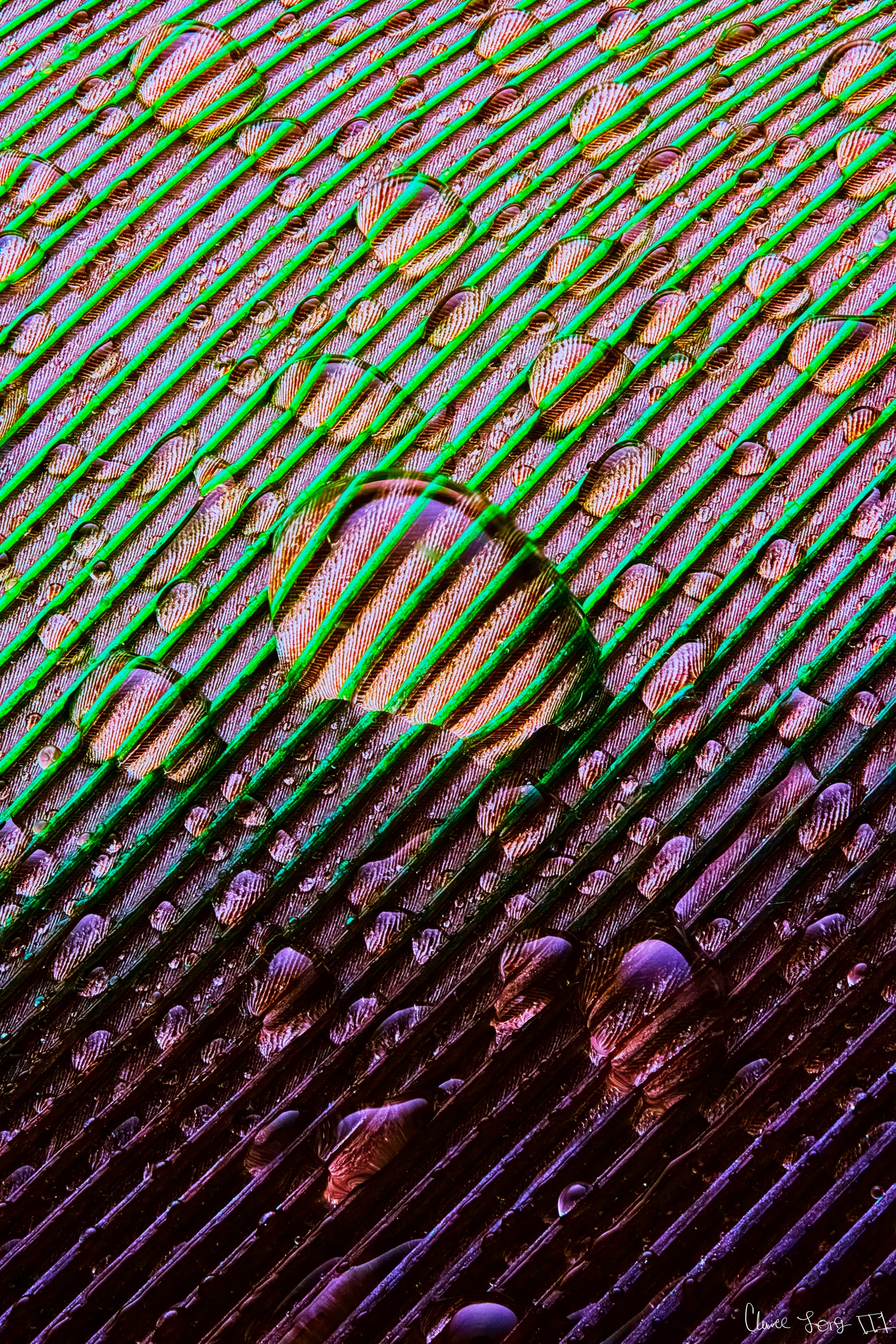 Main image Superabundance