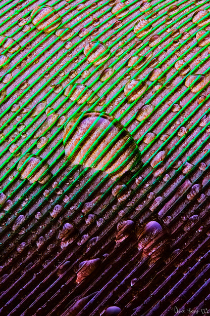 Main image Superabundance