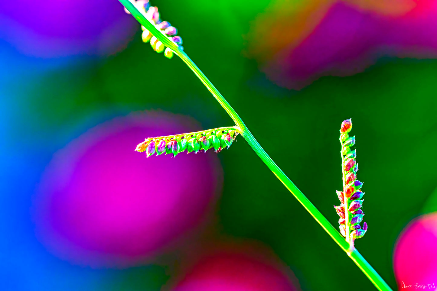 Technicolor Vibes