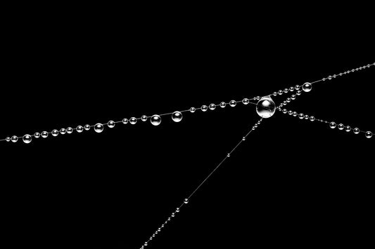 Wispy Junction