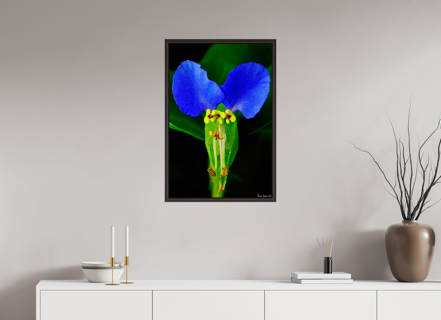 20 x 30″, Floater Frame Alder Brown Asiatic Dayflower