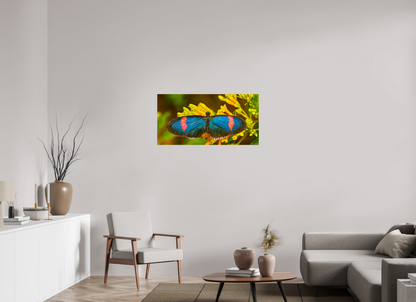 40 x 20″, Photo Print on Aluminum Backing Racing Stripes