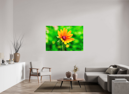 60 x 40″, Matte Metal Stillness in the Blur