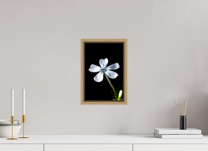 8 x 12″, Floater Frame Natural Oak Silver Petals