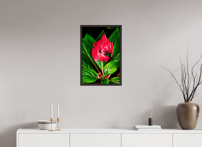16 x 24″, Floater Frame Alder Brown Subsume