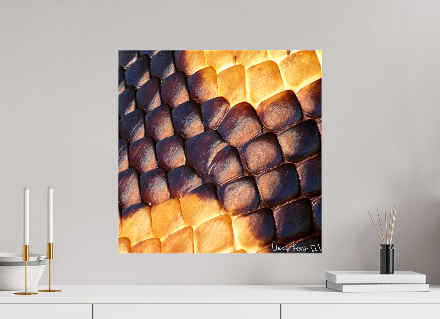 20 x 20″, Glossy Canvas Python’s Glow
