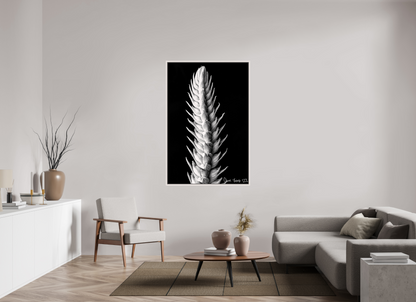 40 x 60″, Floater Frame Maple White Vertebrae