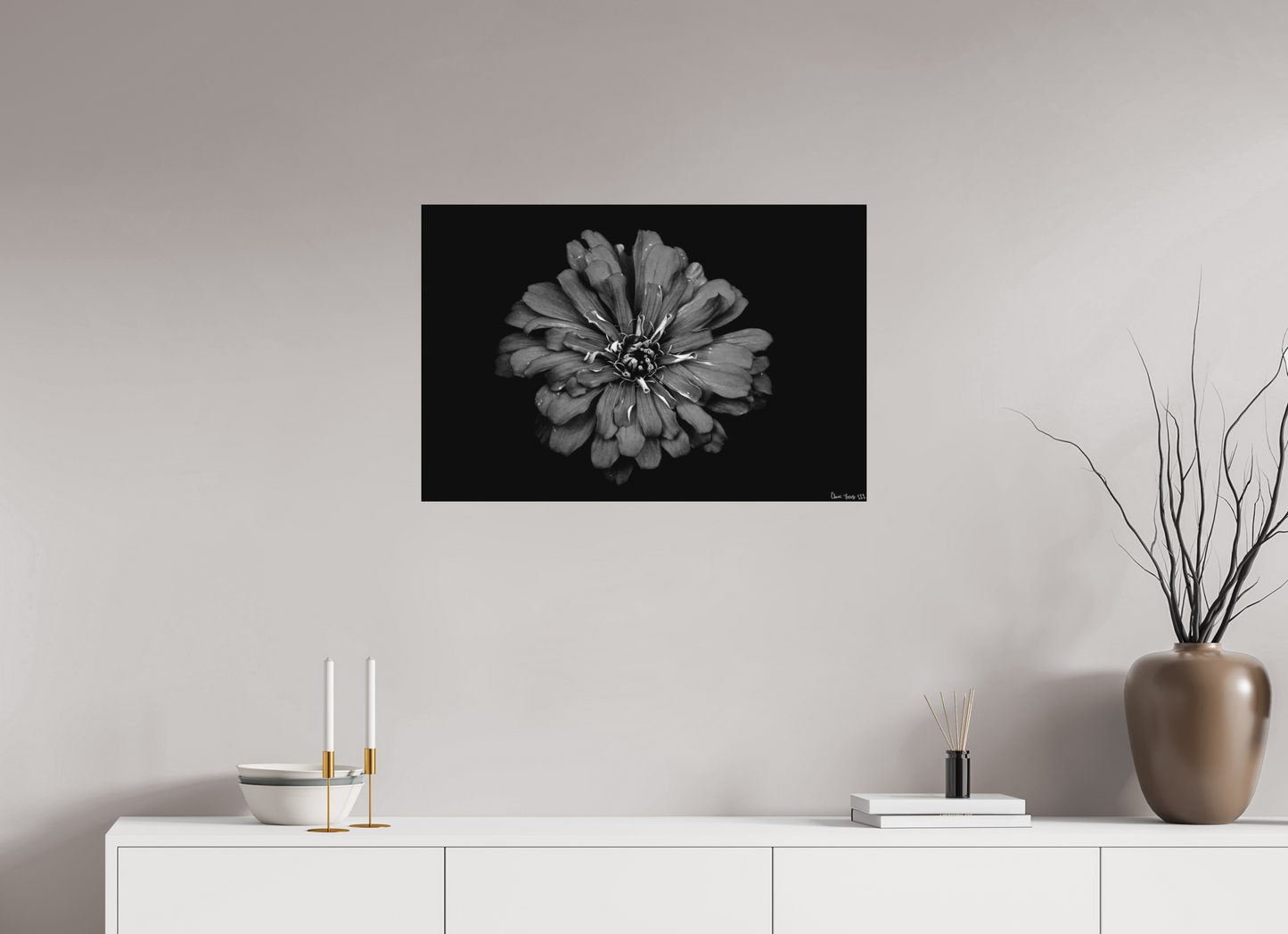 30 x 20″, Forex Carbon Zinnia