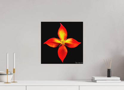 15 x 15″, Matte Metal Blazing Compass