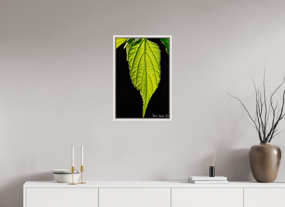16 x 24″, Floater Frame Maple White Eternal Glow