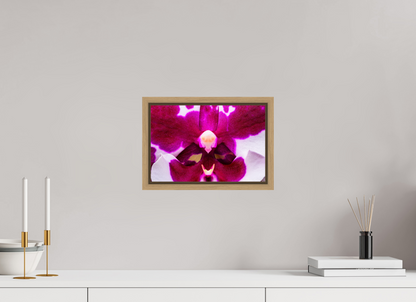 12 x 8″, Floater Frame Natural Oak Droid Orchid