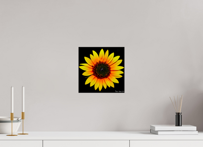 10 x 10″, Glossy Metal Nana’s Sunflower
