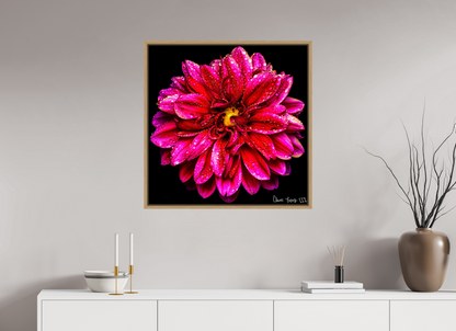 30 x 30″, Floater Frame Natural Oak Droplets Galore