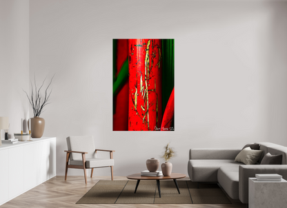 44 x 66″, Glossy Canvas Wounded