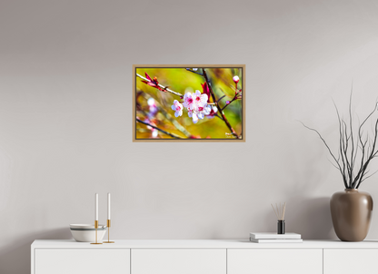 24 x 16″, Floater Frame Natural Oak Cherry Blossom