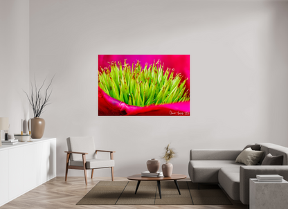 66 x 44″, Acrylic Spiked