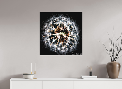 30 x 30″, Matte Canvas Starburst
