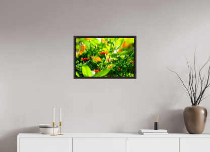 24 x 16″, Floater Frame Alder Brown Prominence