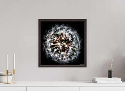 15 x 15″, Floater Frame Alder Brown Starburst