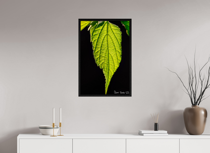 20 x 30″, Floater Frame Black Oak Eternal Glow