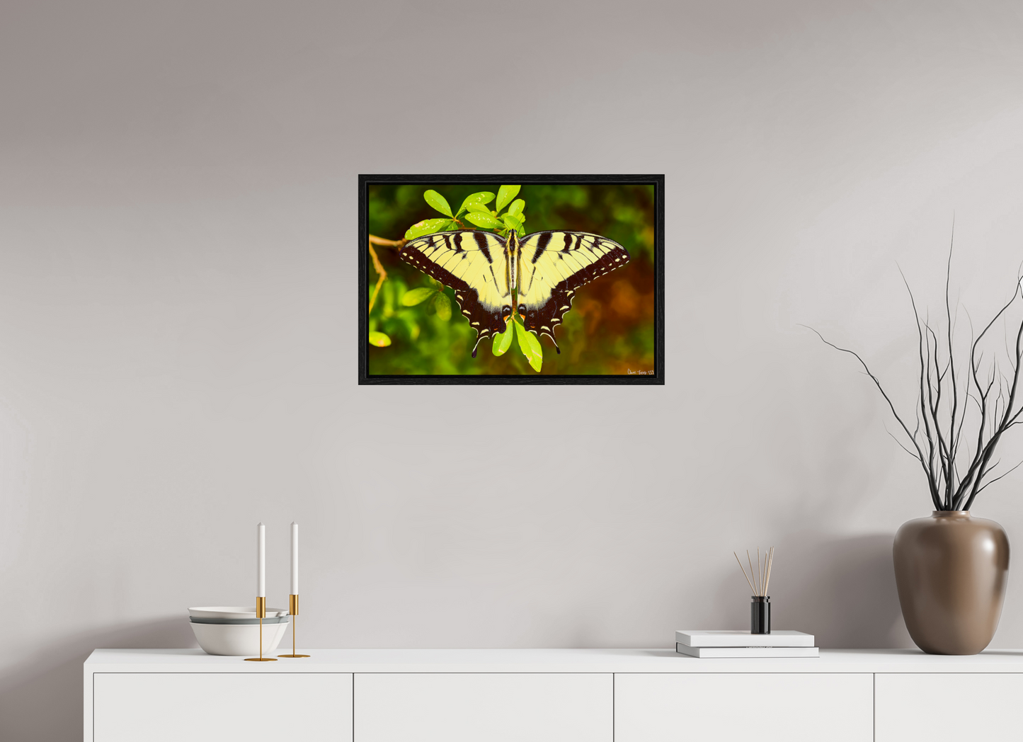 24 x 16″, Floater Frame Black Oak Angel's Landing