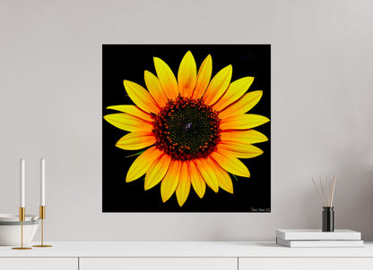 20 x 20″, Acrylic Nana’s Sunflower
