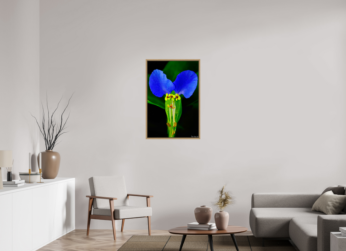 24 x 36″, Floater Frame Natural Oak Asiatic Dayflower