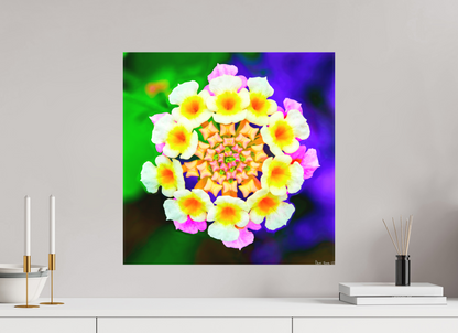 20 x 20″, Matte Canvas Quintessence