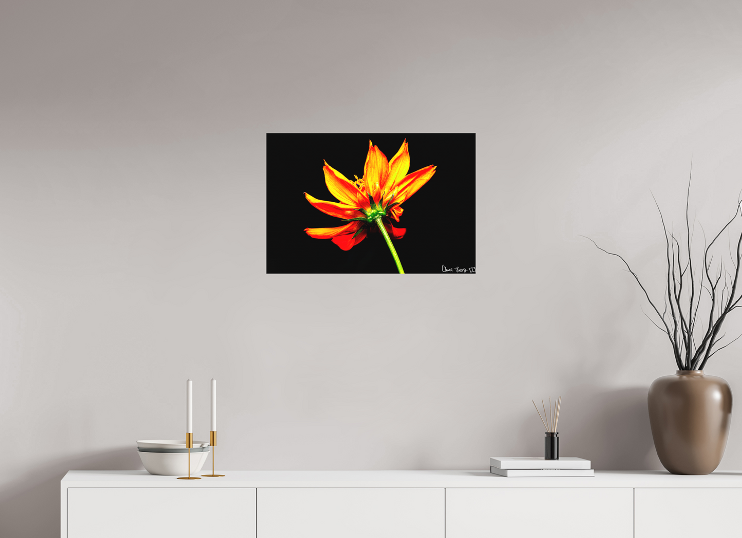 24 x 16″, Matte Canvas Soaring Phoenix