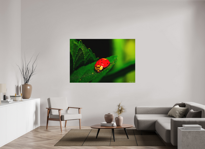66 x 44″, Matte Metal Our Lady Bird