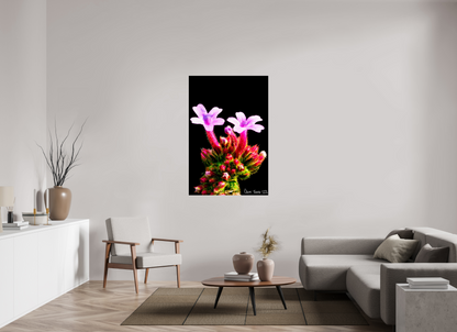 36 x 54″, Acrylic Verbena Bonariensis Pair