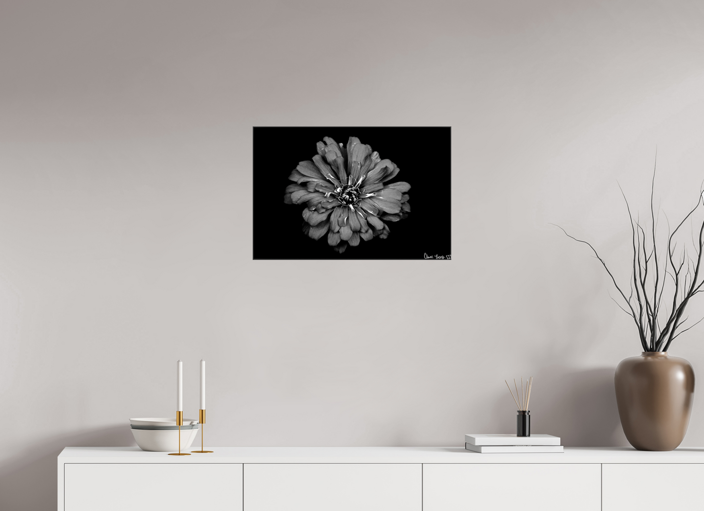 24 x 16″, Glossy Canvas Carbon Zinnia