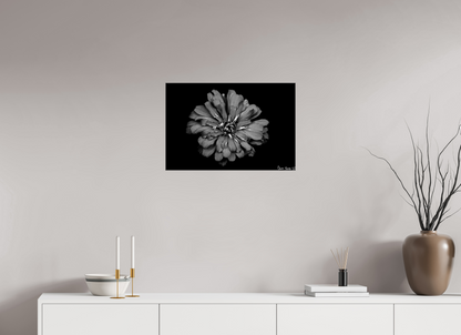 24 x 16″, Glossy Canvas Carbon Zinnia