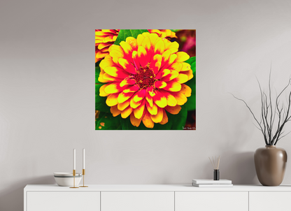 30 x 30″, Matte Metal Radiance
