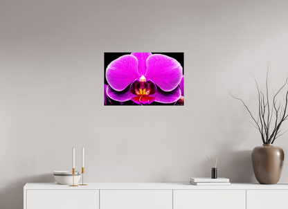 24 x 16″, Glossy Metal Magnificence