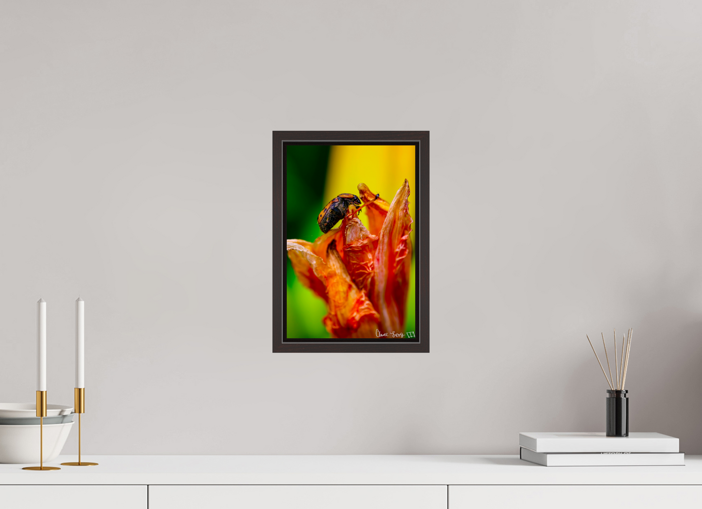 8 x 12″, Floater Frame Alder Brown Perched Grave