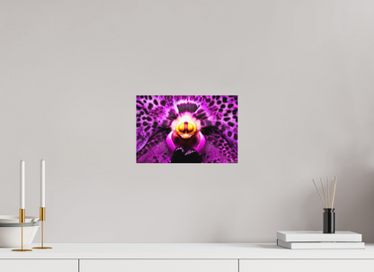 12 x 8″, Matte Metal Piercing Gaze