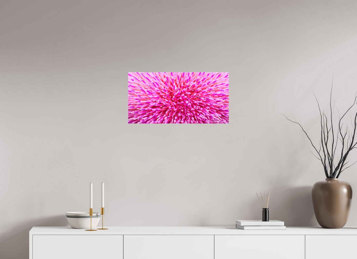 24 x 12″, Matte Canvas Thistle Sea