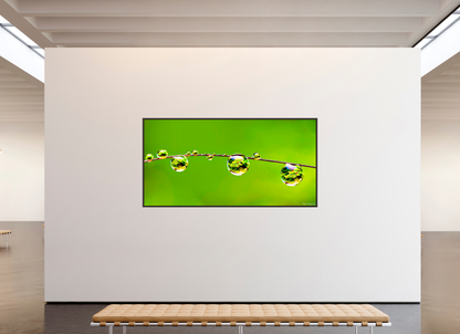94 x 47″, Floater Frame Alder Brown Refraction