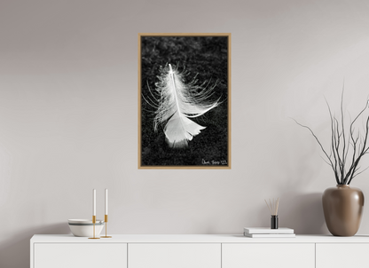 20 x 30″, Floater Frame Natural Oak Feather On Ice
