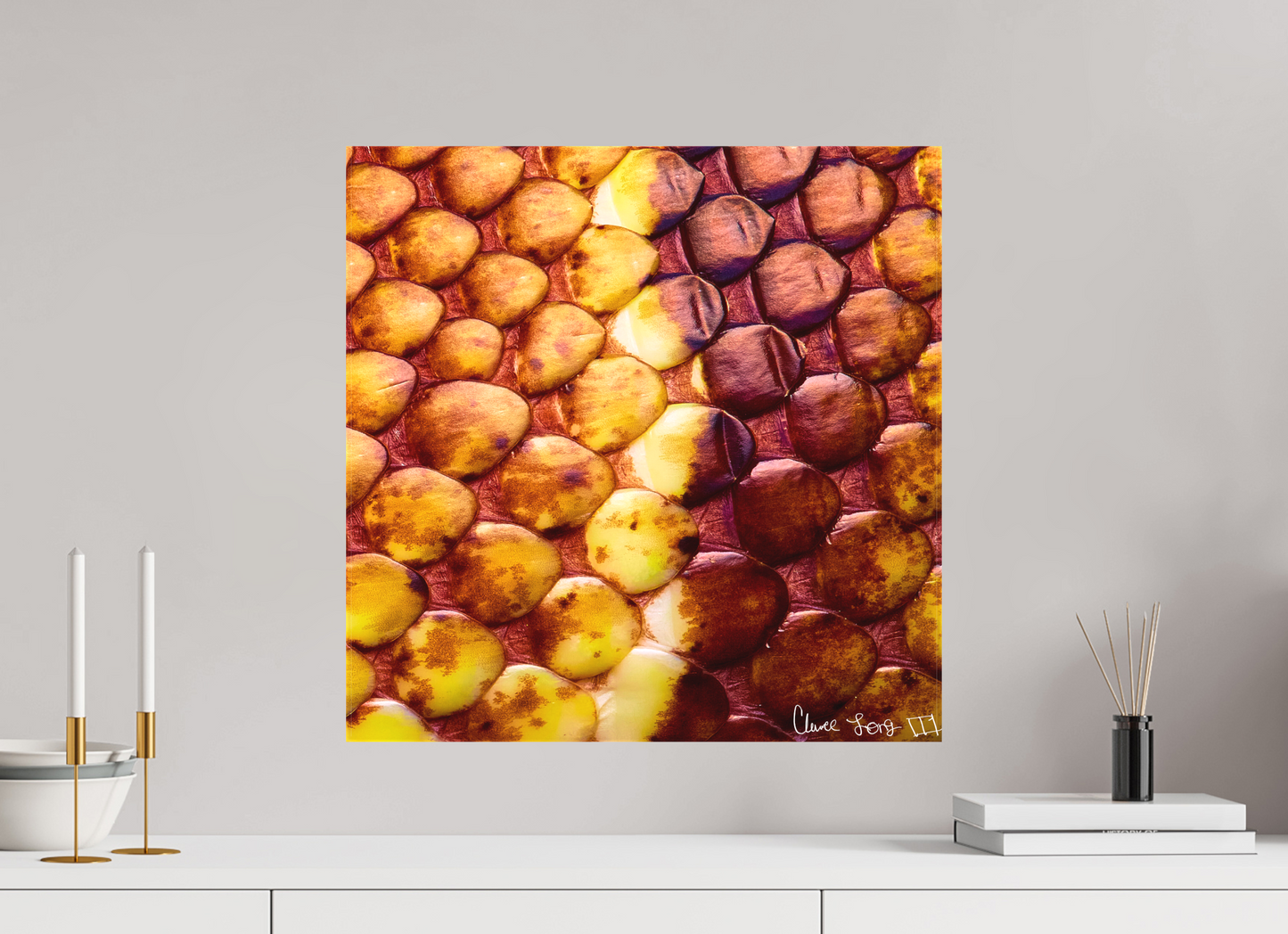 20 x 20″, Matte Canvas Reptilian Divide