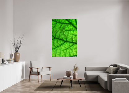 40 x 60″, Glossy Canvas Rivers & Streams