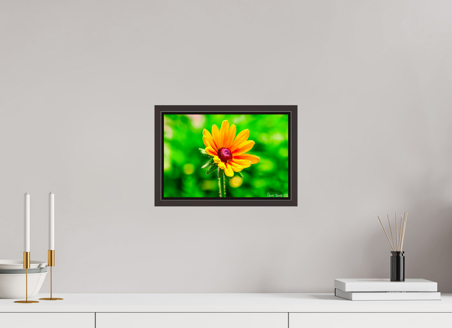 12 x 8″, Floater Frame Alder Brown Stillness in the Blur