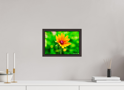 12 x 8″, Floater Frame Alder Brown Stillness in the Blur